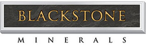 Blackstone Minerals Ltd (ASX: BSX) company profile