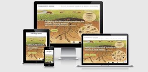 The Dung Beetle Expert