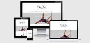 VertiGal Aerial Fitness