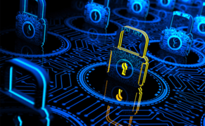 What Cyber Security Policies and Procedures Do You Have in Place?