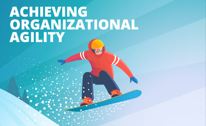 Achieving Organisational Agility
