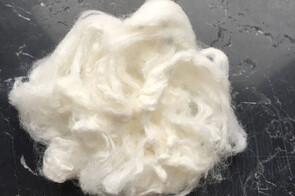 Find out more about Bamboo fabric