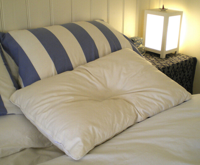 Kapok Pillow reviews and testimonials