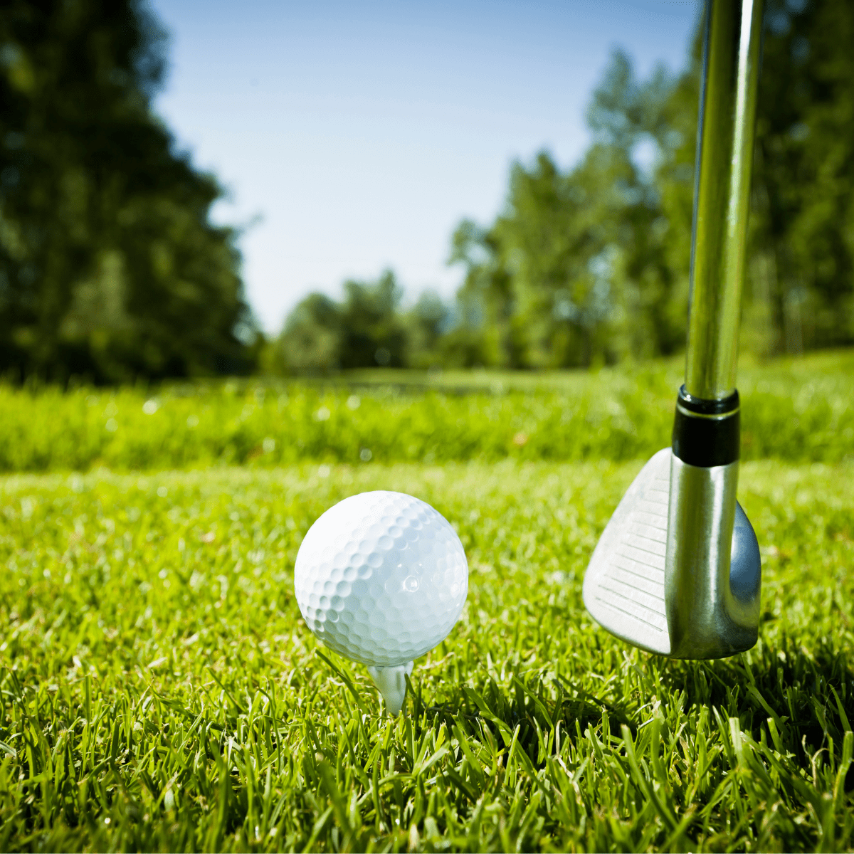 Learn | Warrnambool Golf Club