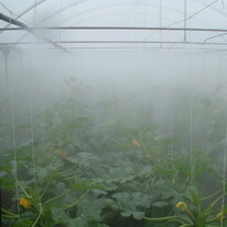 Greenhouse Misting System