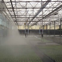 Keep Greenhouse Temperatures At A Constant Level | CoolMist