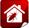 Asian honey bee removal