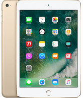 iPad Mini