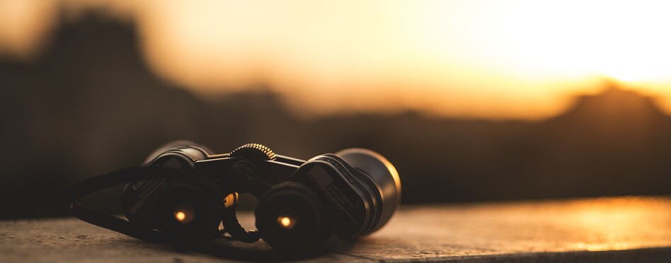 We'll provide your business with big-picture insights into your financial data & strategic guidance at decision-making junctures