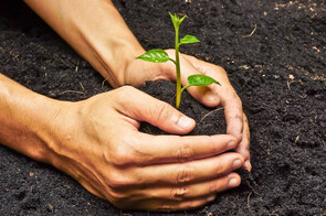 Grow IT GRC tools