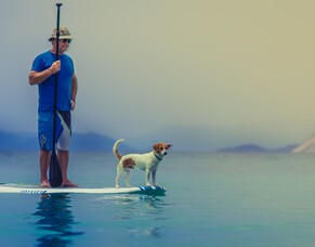 Why physio is a must have before joint replacement