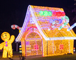 Hunter Valley Christmas Tour - Friday 12th December 2025