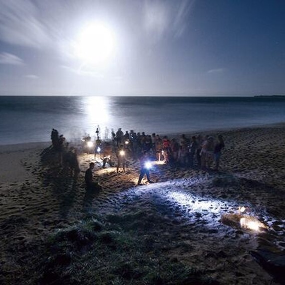 Tourists camping at the beach at night