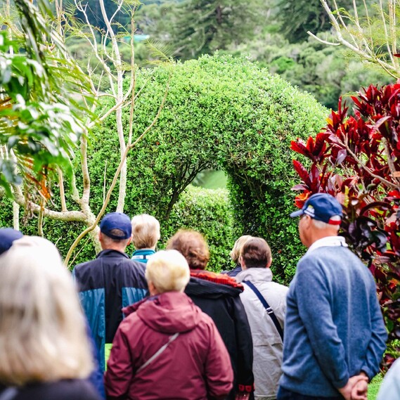 Tourists at a garden