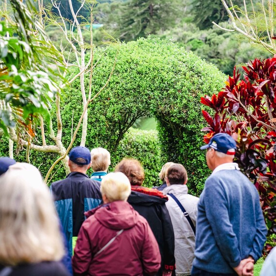 Tourists at a garden