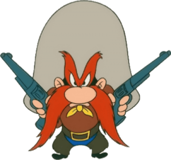 This photo may not be a true representation of the coach