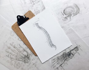 Looking for the Best Chiropractors in Brisbane?