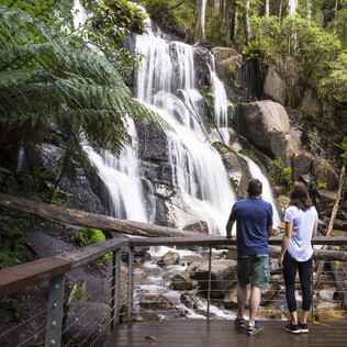 Toorongo Falls viewing platform