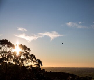 eagle in the sky at sunset