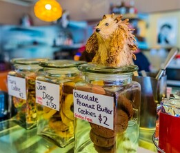 local treats on the counter