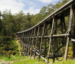 noojee trestle Bridge