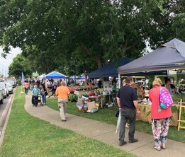 Yarragon Market day in the park