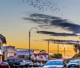 Yarragon street at sunset