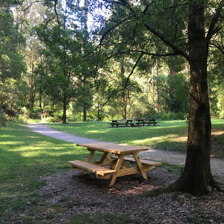 Mount Worth State Park picnic area