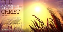 Office Gospel - The Gospel of Christ