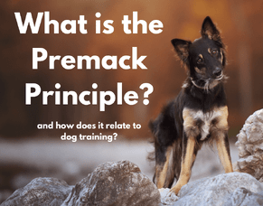 The Premack Principle