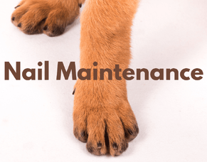 Nail Maintenance