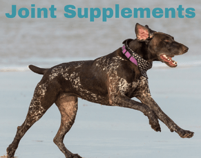 Joint Supplements