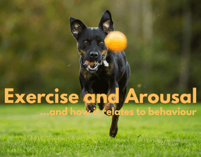 Exercise and Arousal (and how it relates to behaviour)
