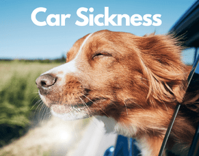 Car Sickness