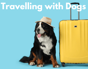 Travelling With Dogs