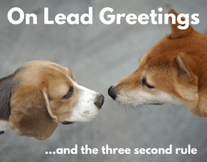 On Lead Greetings