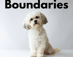 Boundaries in Dog Training