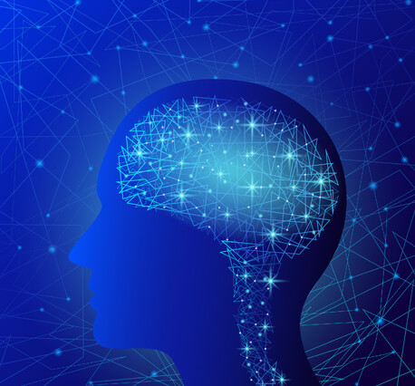 Chiropractic and Adaptability