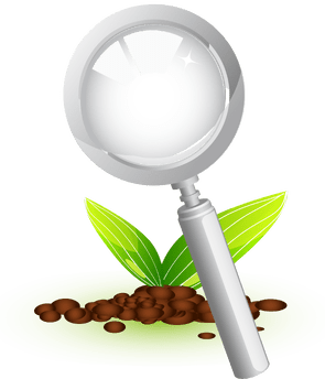 Integrating your own philosophical lens (Badge-8) - Your responsibilities