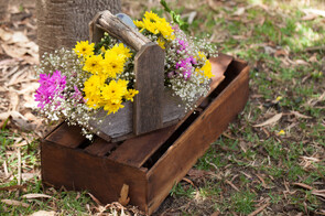 Rustic Wooden Basket