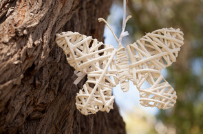 White Cane Butterflies