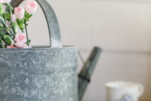 Vintage Watering Cans