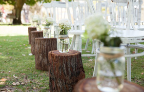 Rustic Jarrah Tree Stumps