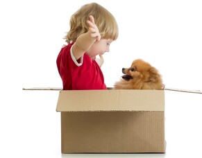 8 tips for stress free moving with kids and pets