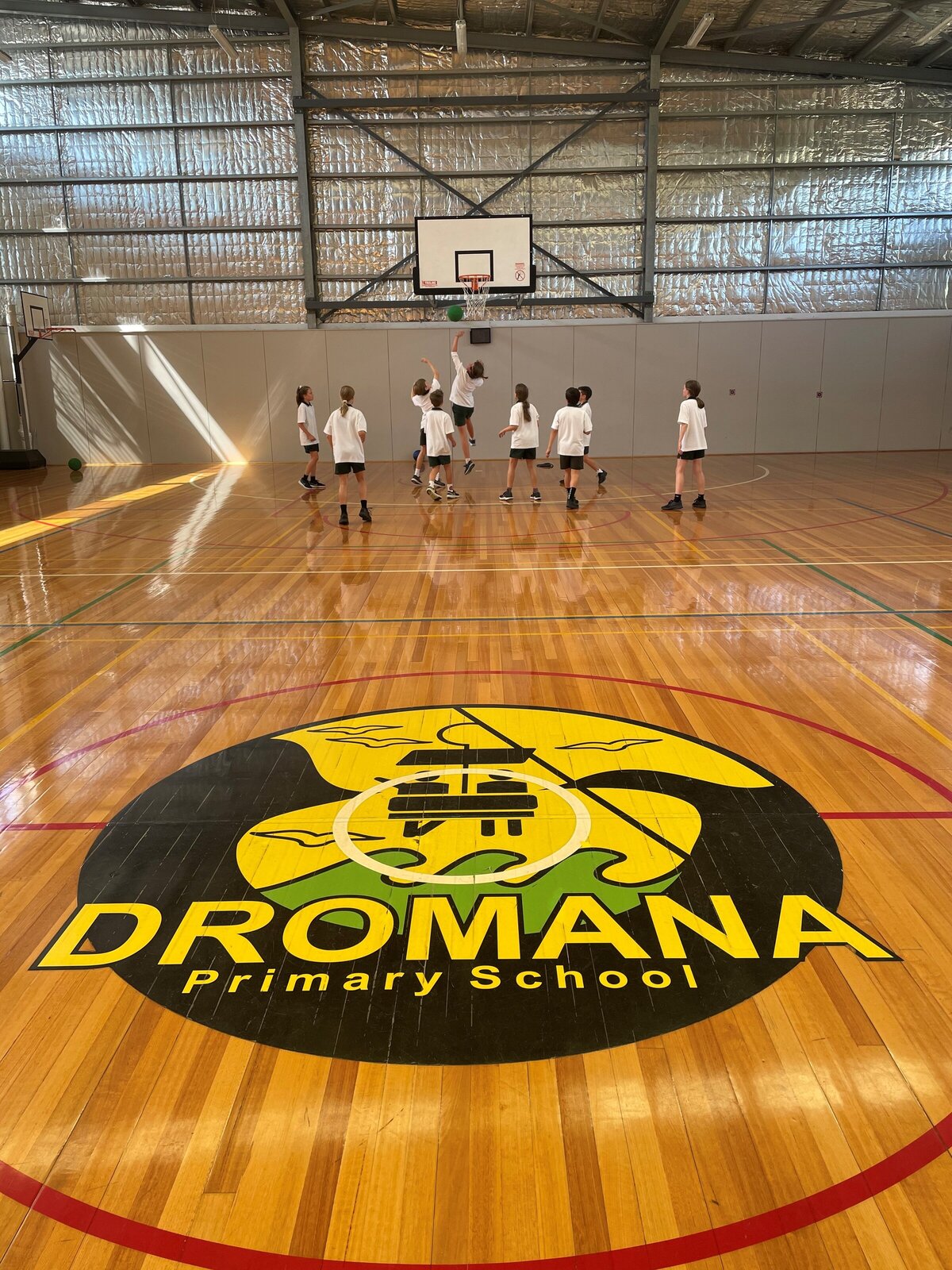 OUR SCHOOL Dromana Primary School