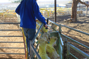 Innovation & Technology