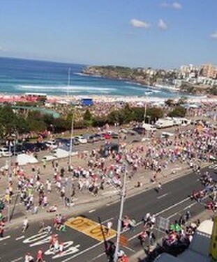 Fun Runs - Whether its the City 2 Surf or Brisbane to the Bay