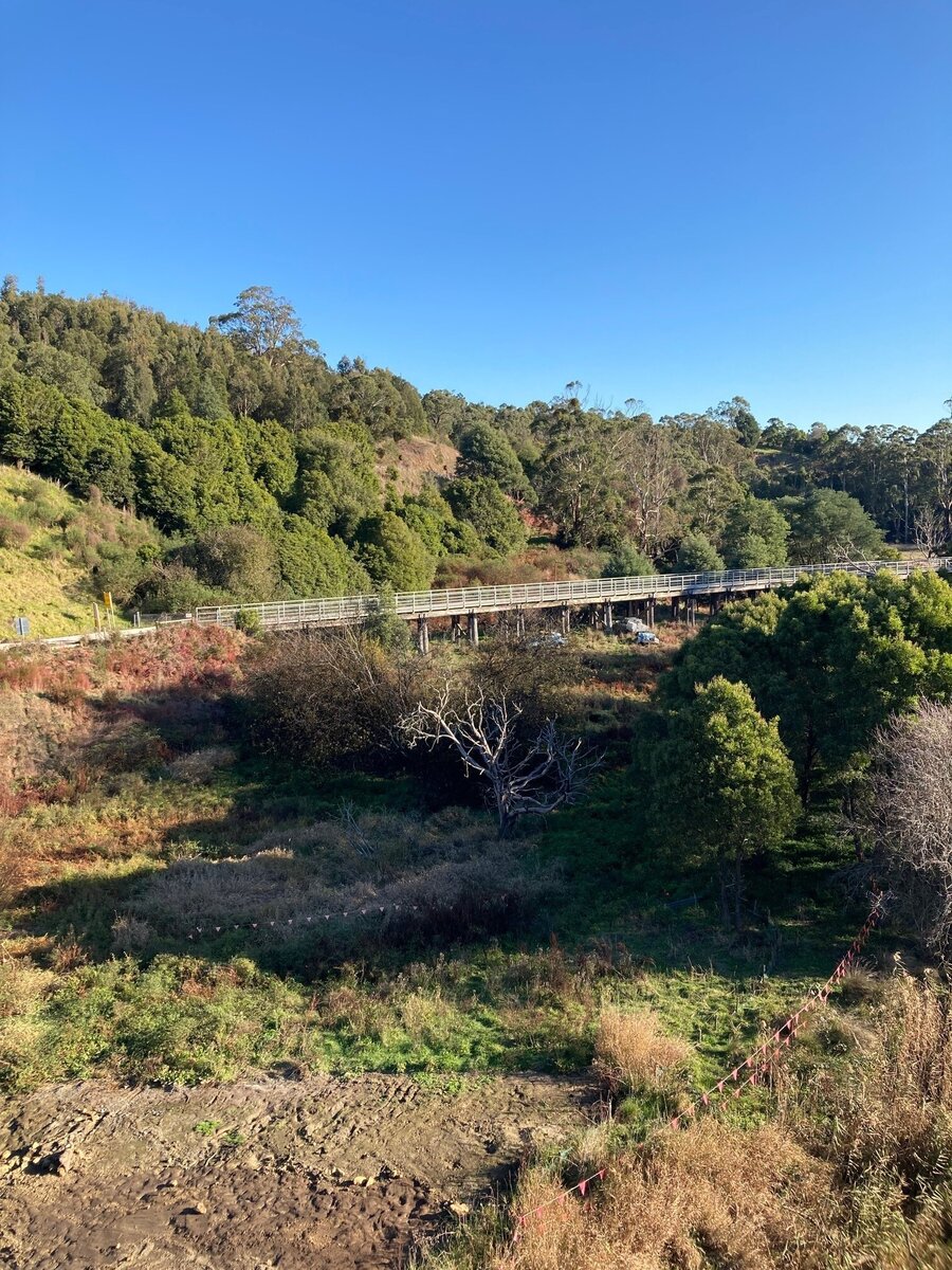 Black Spur Creek Wetlands Project (BSCW) - Update 29 | Nerrena Tarwin ...