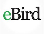 eBird by Cornell Lab - Free