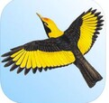 Morcombe and Stewart Birds of Australia - $29.99 full version